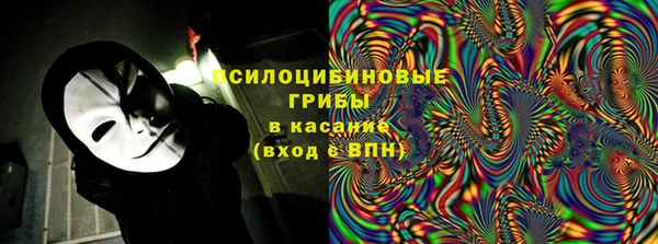 твердый Надым
