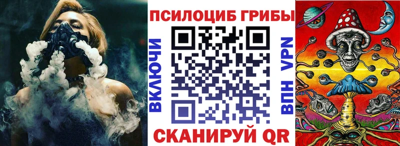 Галлюциногенные грибы Psilocybe  купить  цена  Яранск 
